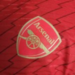 Player version Arsenal 2023/24 Home Jersey