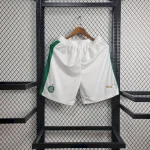 Mens Palmeiras 2024/25 Away Shorts
