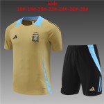 Argentina 2024/25 Training Kids Jersey+Short 14001