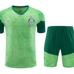 Palmeiras 2024/25 Training Adult Jersey+Short 418