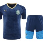 Palmeiras 2024/25 Training Adult Jersey+Short 418
