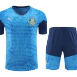 Palmeiras 2024/25 Training Adult Jersey+Short 418