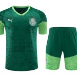 Palmeiras 2024/25 Training Adult Jersey+Short 418