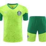 Palmeiras 2024/25 Training Adult Jersey+Short 418