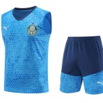Palmeiras 2024/25 Adult Tank Top+Short 418