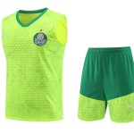 Palmeiras 2024/25 Adult Tank Top+Short 418