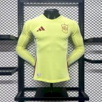 Mens Spain 2024/25 Euro Away Long Sleeves Authentic Jersey