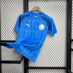 Mens Palmeiras 2024/25 Blue Pre-Match Training Jersey