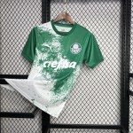 Mens Palmeiras 2024/25 Special Edition White and green Jersey