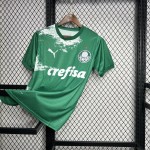 Mens Palmeiras 2024/25 Special Edition Green and white Jersey