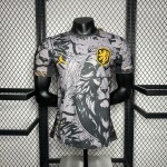 Mens Netherlands 2024/25 Euro Jordan Version Authentic Jersey