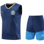 Palmeiras 2024/25 Adult Tank Top+Short 418