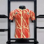 Mens Bayern Munich 2024/25 Special Edition Authentic Jersey