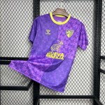 Mens Malaga 2024/25 Purple pre-match training Jersey