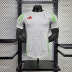 Mens Algeria 2024/25 Home Authentic Jersey