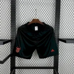 Mens Benfica 2024/25 Away Shorts