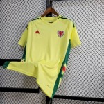 Mens Wales 2024/25 Euro Home Jersey