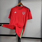 Mens Wales 2024/25 Euro Away Jersey