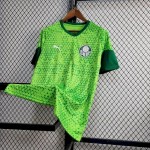 Mens Palmeiras 2024/25 Pre-Match Training Jersey