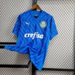 Mens Palmeiras 2024/25 Goalkeeper Jersey